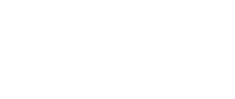网络解锁 - 海龟伴侣